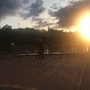 sammi_gentile